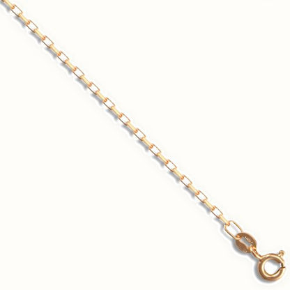 9ct Yellow Gold Italian Diamond Cut Belcher Gauge Pendant Chain