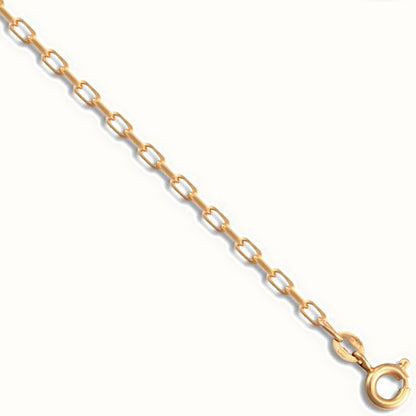 9ct Yellow Gold Italian Diamond Cut Belcher Gauge Pendant Chain