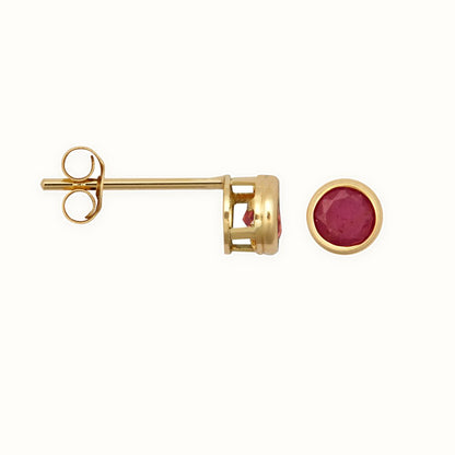 9ct Yellow Rub-over Set Stud Earrings