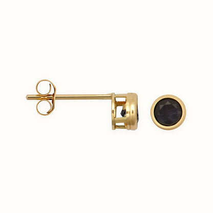 9ct Yellow Rub-over Set Stud Earrings