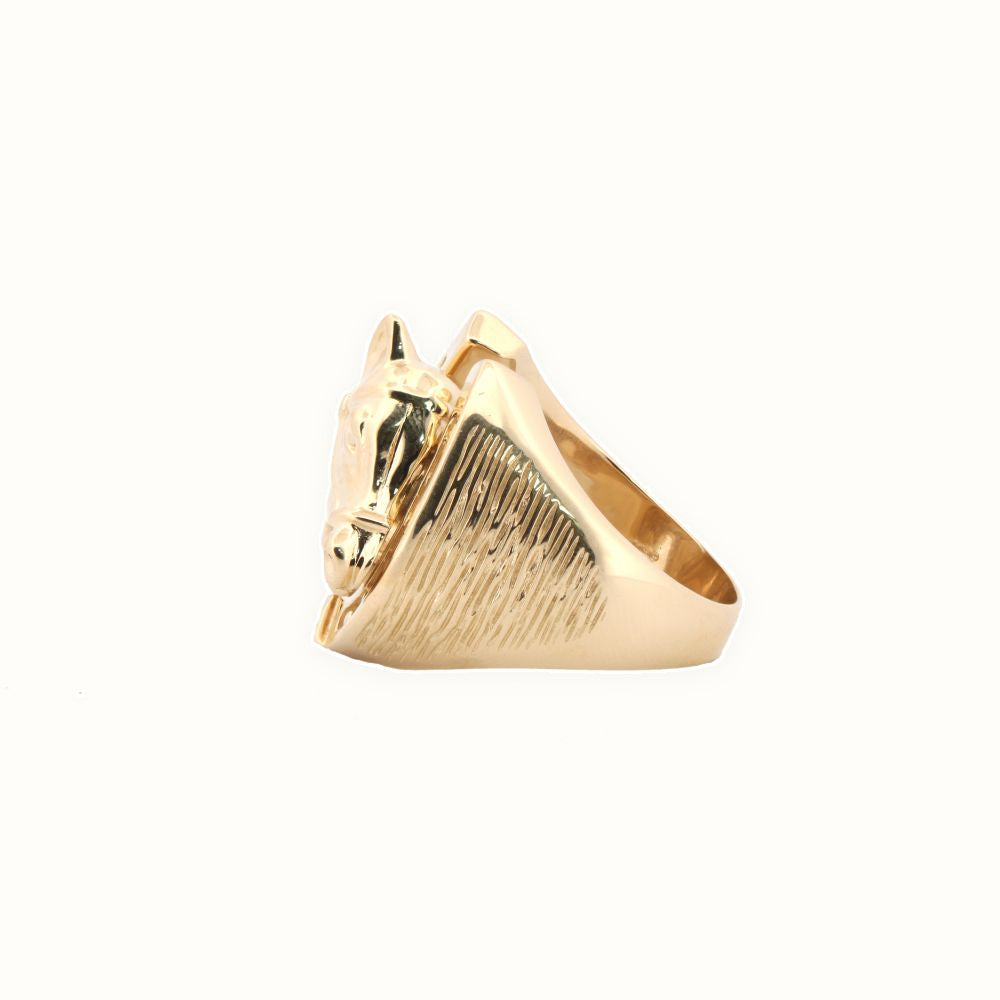 9ct Yellow Gold Horse Shoe Ring