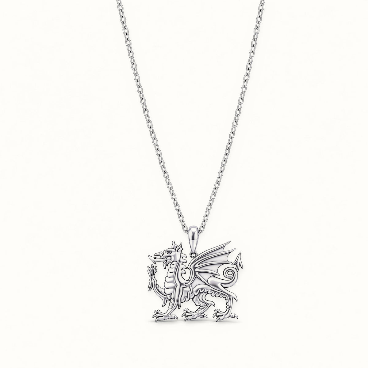 Sterling Silver Welsh Dragon Pendant Necklace – APD245