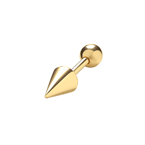 Ear Cartilage